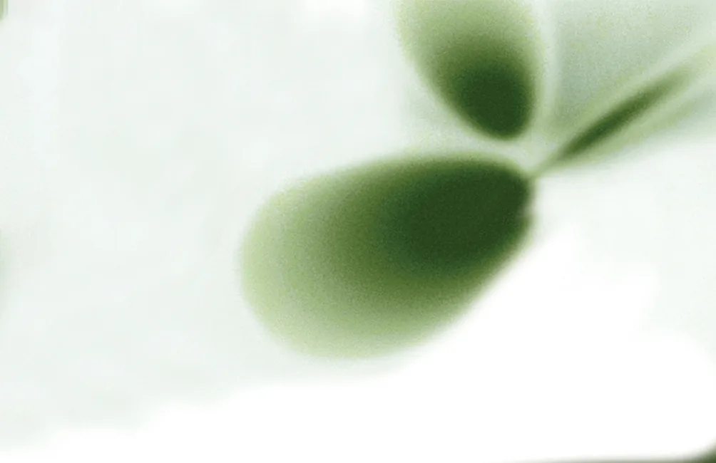 Green gradient plate