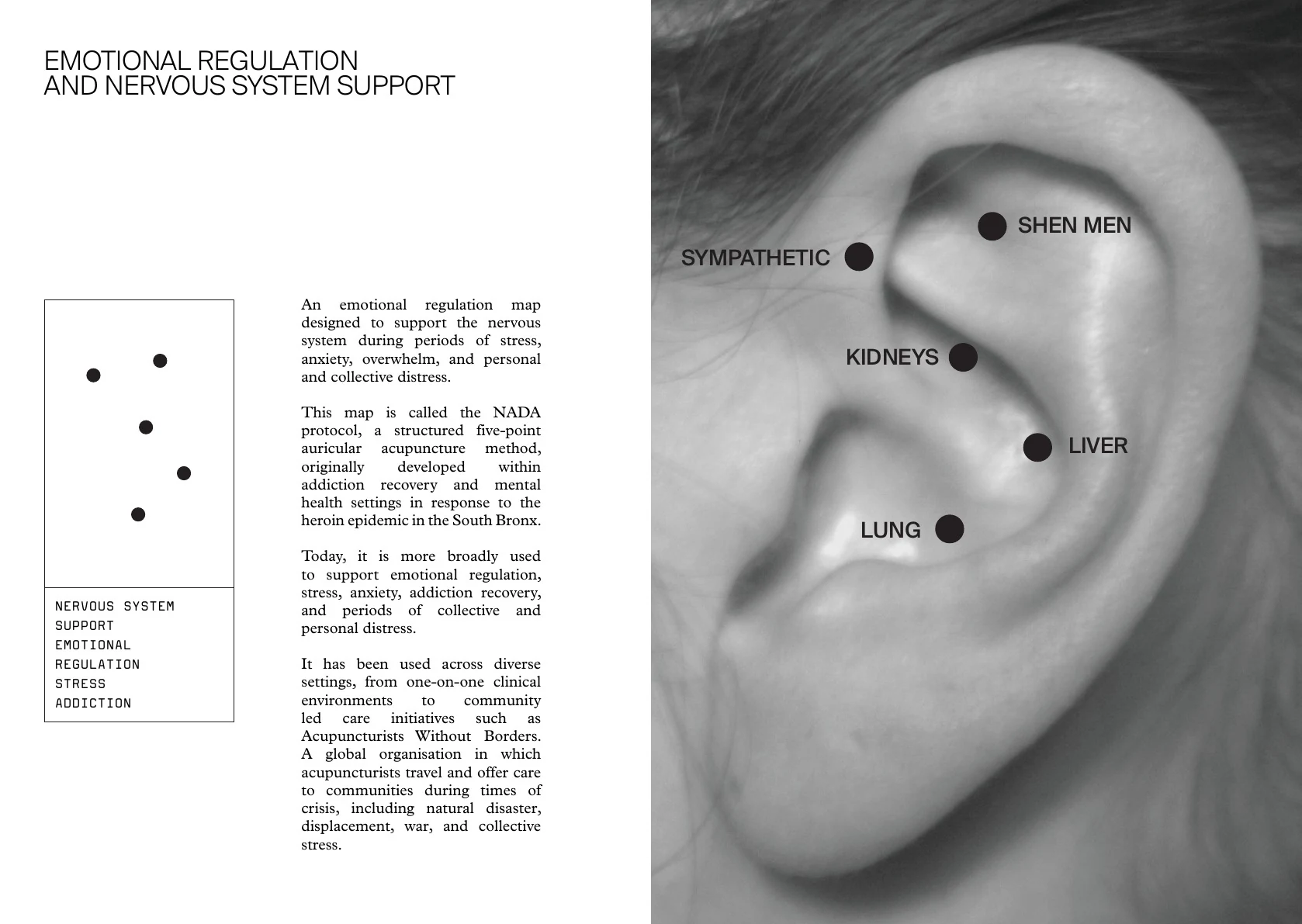 Ear seed booklet spread for emotional regulation and nervous system support