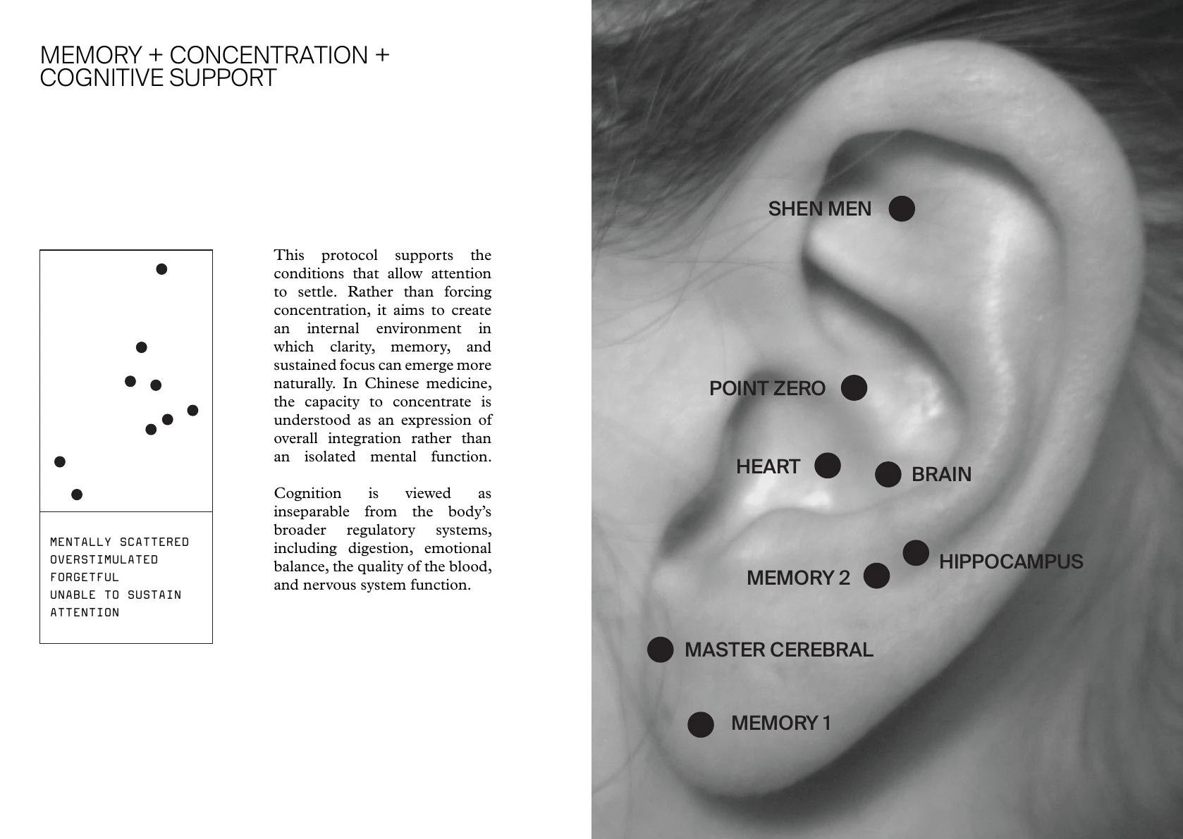 Ear seed booklet spread for memory, concentration and cognitive support